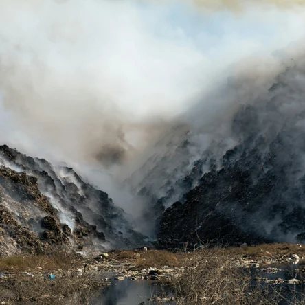 АНАЛИЗ ОТХОДОВ